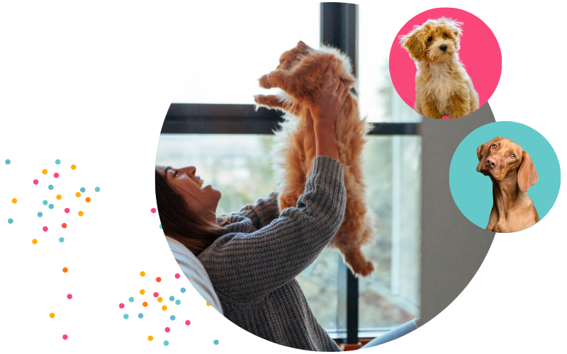 Pet products - hero image